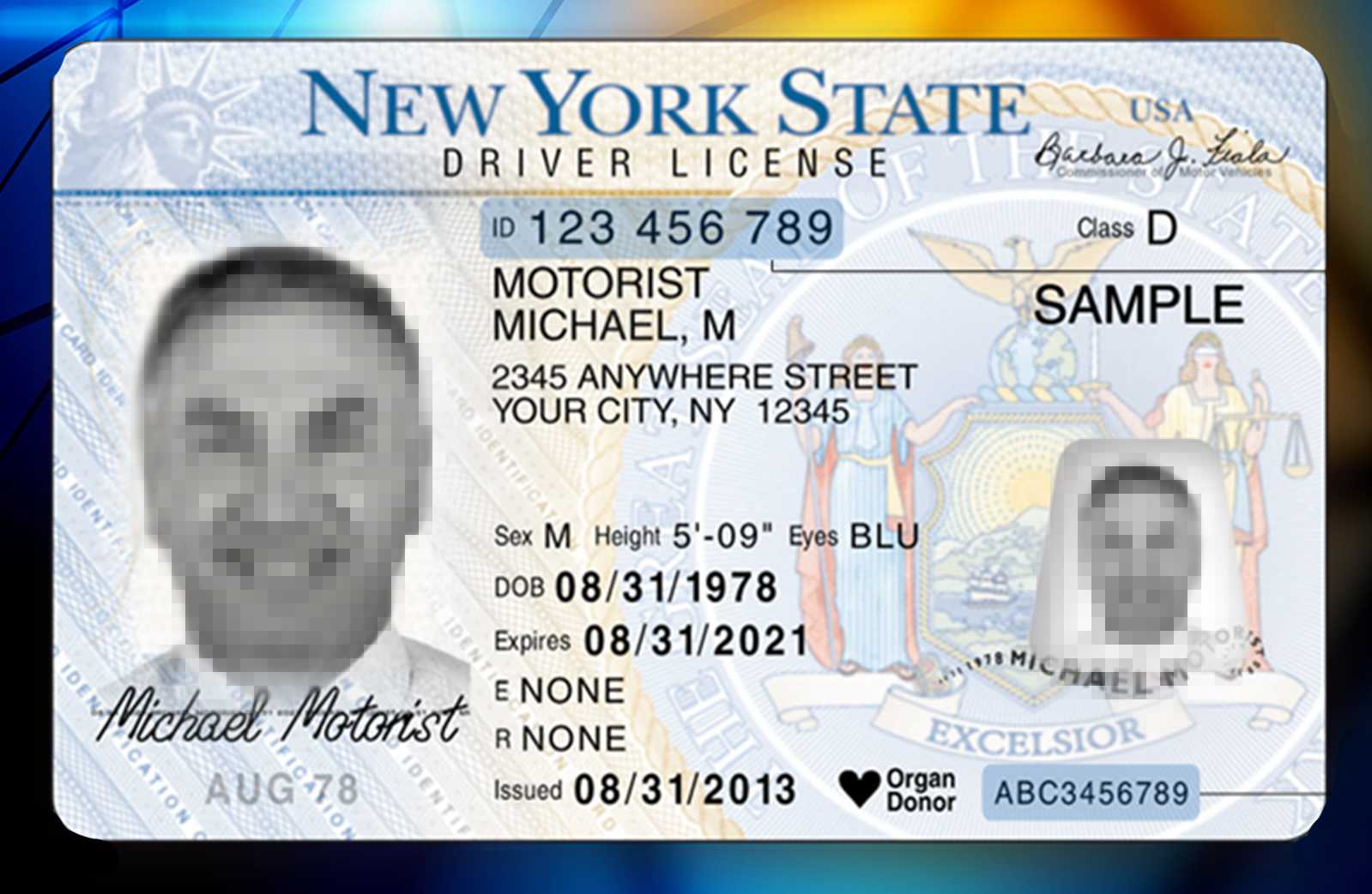Nyc Immigrant Id Card